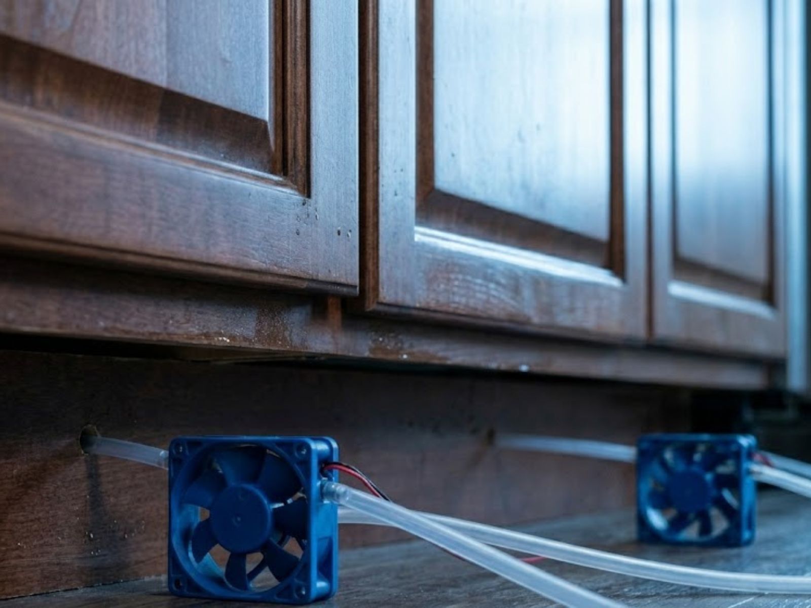 Emergency Water Damage Help image 3